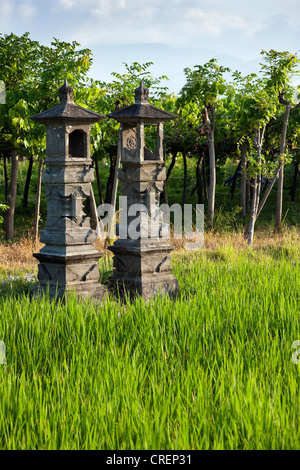 Santuari in onore di Dewi Sri, la dea del riso, campo di riso, Bali, Indonesia, Asia sud-orientale, Asia Foto Stock