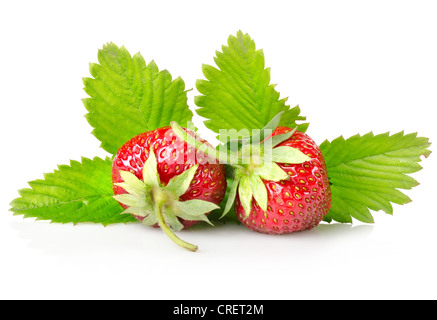 Fragole mature con foglie isolati su sfondo bianco Foto Stock