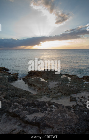 Sulla costa dell'isola Grand Cayman Foto Stock