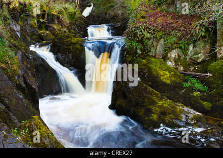 Inghilterra, North Yorkshire, Ingleton. Pecca Twin Falls, una cascata lungo il Ingleton cascate a piedi. Foto Stock