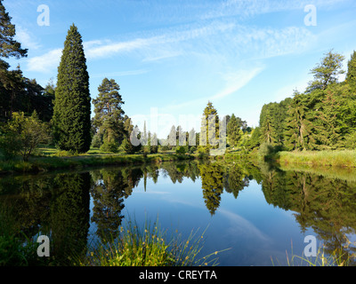 Bedgebury Pinetum National Forest Kent Foto Stock