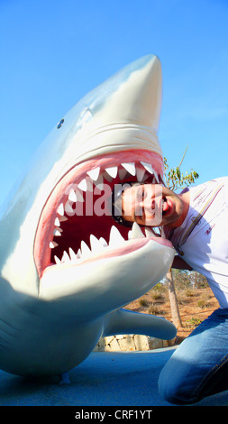 Il grande squalo bianco (Carcharodon carcharias, Carcharodon rondeletii), l'uomo in bocca, dummy su un parco giochi per i bambini Foto Stock