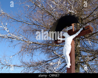 Larice comune, EUROPEE Larice (Larix decidua, Larix europaea), croce sul ciglio della strada in snow landscape, Germania Foto Stock