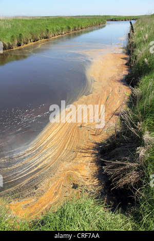 Strato di sporco sul canale in paludi d'acqua dolce Walberswick Southwold Suffolk East Anglia England Regno Unito, un raro SSSI Foto Stock
