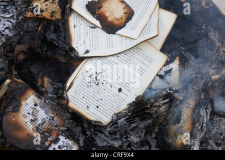 Libri bruciare nel fuoco Foto Stock