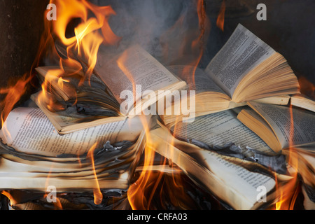 Libri bruciare nel fuoco Foto Stock