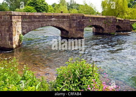 Holme Bridge, Bakewell, packhorse ponte sopra il fiume Wye Foto Stock