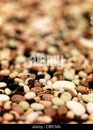 Un assortimento di fagioli secchi Foto Stock