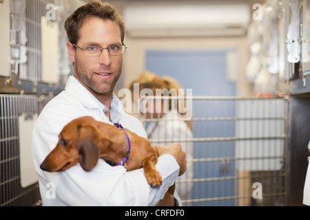 Veterinario tiene un cane in canile Foto Stock