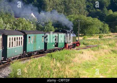 Ruegensche Kleinbahn, soprannominato Rasender Roland, Germania, Meclemburgo-Pomerania, Ruegen Foto Stock