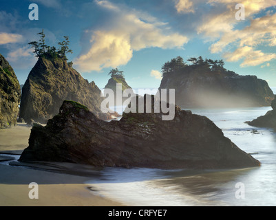 Tramonto sulla spiaggia con seastacks in Samuel H. Boardman membro Scenic corridoio. Foto Stock