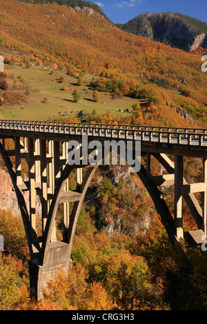 Ponte di Tara, Fiume Tara canyon, il Parco Nazionale del Durmitor, Montenegro Foto Stock