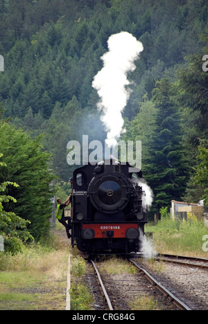 Treno a vapeur des Cévennes, France, Languedoc-Roussillon, Cvennes, St-Jean-du-Gard Foto Stock