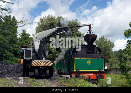 Treno a vapeur des Cévennes ottenere carbone, France, Languedoc-Roussillon, Cvennes, St-Jean-du-Gard Foto Stock