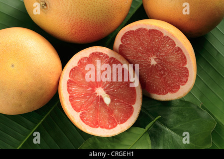 Ripe rosso pompelmi, intere e tagliare, in foglia di palma Foto Stock