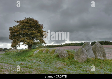 Rovere (Quercus spec.), Dolmen con rovere sull isola Moen, Danimarca, Moen Foto Stock