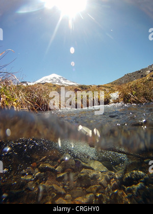 Snowmelt pura acqua che scorre giù per i pendii del Volcan Lanin in primavera, Parque Nacional Lanin, Patagonia, Argentina Foto Stock