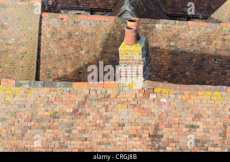 Tradizionale e originale peg i tetti degli edifici. Immagine presa nella segale, East Sussex, England, Regno Unito Foto Stock