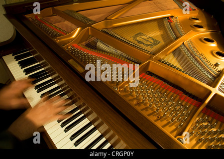 Tasti, stringhe e meccanismo di pianoforte Foto Stock