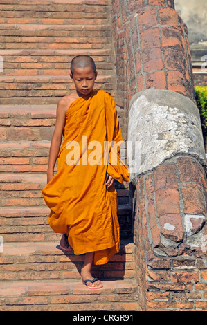 Il debuttante su scale di Krypta, grande Chedi Chaya Mongkol, Thailandia, Ayutthaya, Wat Yai Chai Mongkon Foto Stock