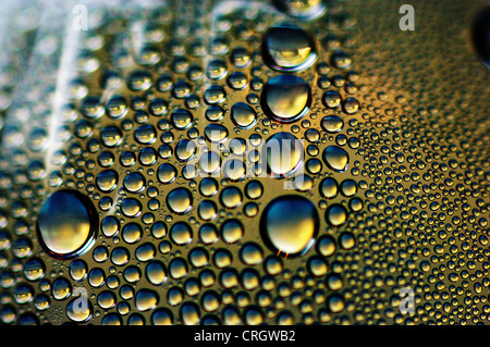 Gocce di acqua su vetro Foto Stock