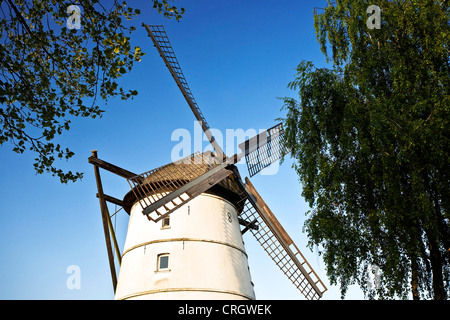Il vecchio mulino a vento in Boenen vicino a Unna, Germania, Renania settentrionale-Vestfalia, Boenen Foto Stock