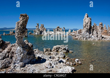 Torri di tufo o colonne (formazioni rocciose) al Lago Mono, Mono County, California, Stati Uniti d'America in luglio Foto Stock