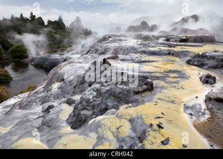 Primaeval scena a Te Puia area geotermica, a Rotorua, Nuova Zelanda 5 Foto Stock