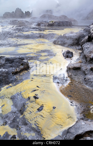 Primaeval scena a Te Puia area geotermica, a Rotorua, Nuova Zelanda 12 Foto Stock