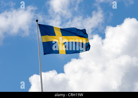 Bandiera della Svezia Foto Stock