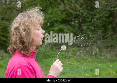 Orologio di tarassaco essendo soffiato; donna Foto Stock