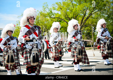 Un kilted marching band allineando e ottenere in formazione per il Washington DC National Cherry Blossom Parade. Foto Stock