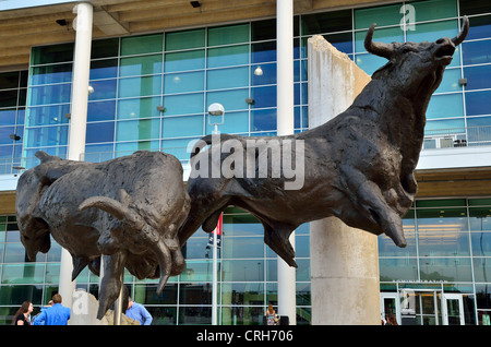 La scultura in bronzo di tori infuria davanti al Reliant Stadium. Houston Texas, Stati Uniti d'America. Foto Stock