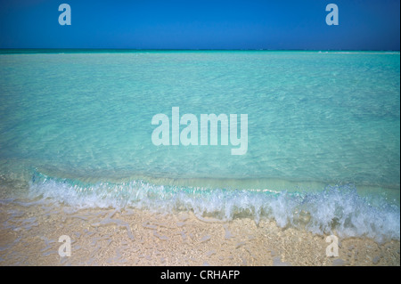 Litorale di Fort George Cay, un'isola disabitata. Isole Turks e Caicos. Foto Stock