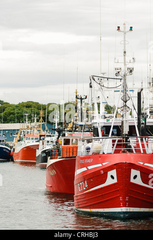 Ocean andando le navi per la pesca a strascico ormeggiata nel porto di Howth, County Dublin Foto Stock