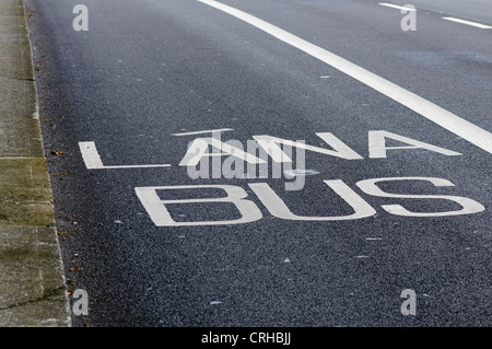 Corsia degli autobus su una strada a Dublino Foto Stock