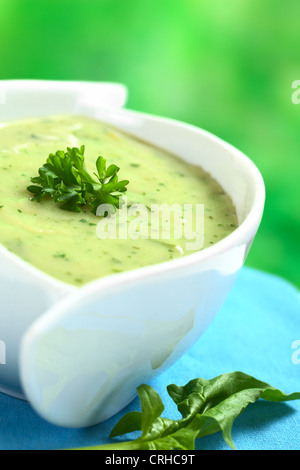 Crema di spinaci minestra guarnita con prezzemolo e spinaci foglia che giace sul lato Foto Stock