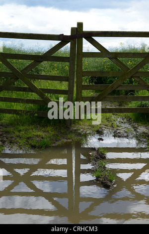 Chiuso i cancelli di fattoria riflessa nelle pozze di acqua dopo la pioggia pesante Foto Stock