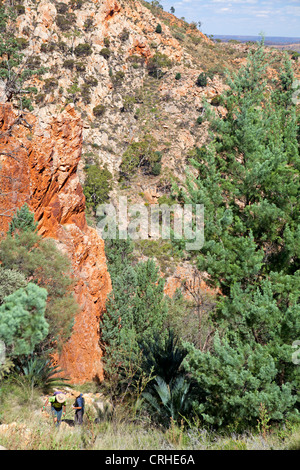 Bushwalkers salire al di sopra dei Standley Chasm il Larapinta Trail Foto Stock