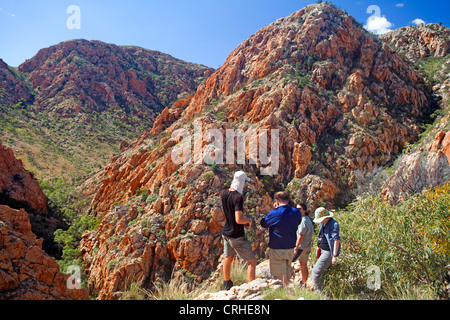 Bushwalkers il Larapinta Trail sopra Standley Chasm Foto Stock