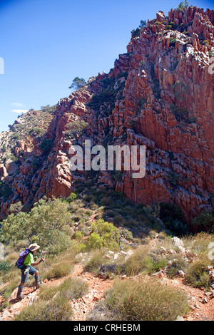 Bushwalkers salire al di sopra dei Standley Chasm il Larapinta Trail Foto Stock