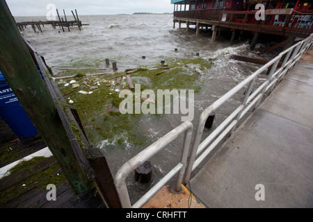 I detriti lavato lungo il seawalls del Dock Street in Cedar Key Florida dalla tempesta tropicale Debby Foto Stock