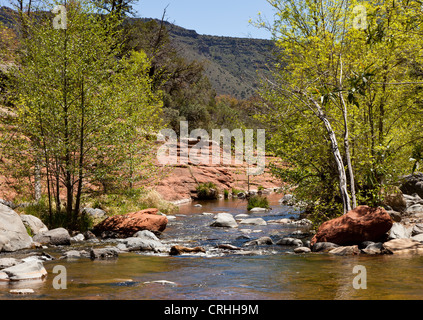 Vista tipica del fiume che scorre attraverso il Canyon di Oak Creek vicino a Sedona in Arizona USA Foto Stock