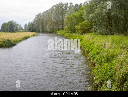 Waveney Fiume a monte di bloccaggio Geldeston Norfolk Inghilterra Foto Stock