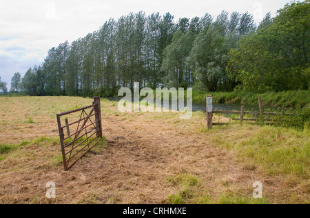 Waveney Fiume valle a monte di bloccaggio Geldeston Norfolk Inghilterra Foto Stock