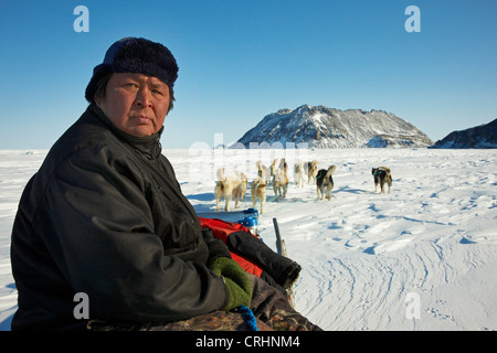 La Groenlandia cane (Canis lupus f. familiaris), inuit con slitta trainata da cani, Groenlandia, Ostgroenland, Tunu, Kalaallit Nunaat, terra di Liverpool Foto Stock