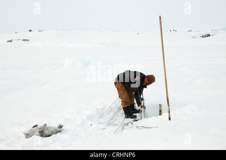 Guarnizione inanellato (Phoca hispida), sigillante Inuit ottenendo la sua net dal foro di ghiaccio, accanto a lui una guarnizione braccati, Groenlandia, Ostgroenland, Tunu, Kalaallit Nunaat, Scoresbysund, Kangertittivag, Kap Tobin, Ittoqqortoormiit Foto Stock