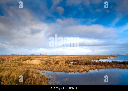 Paesaggio con lago e cielo blu in Drenthe Foto Stock