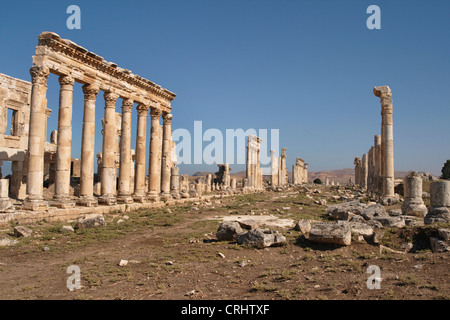 Città romana Apamea, Siria Foto Stock