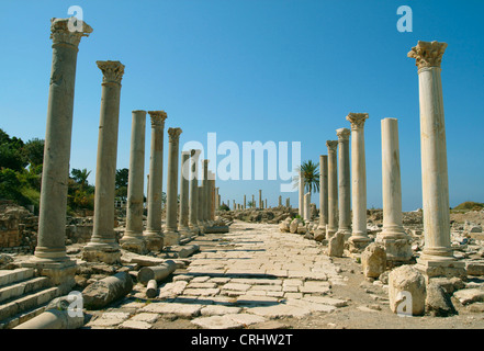 Strada di marmo nel pneumatico, Libano Foto Stock